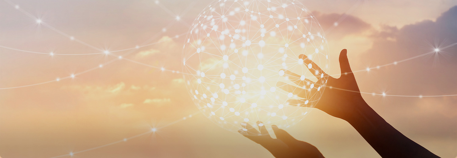 세계 최고의 품질을 향한 끊임없는 노력